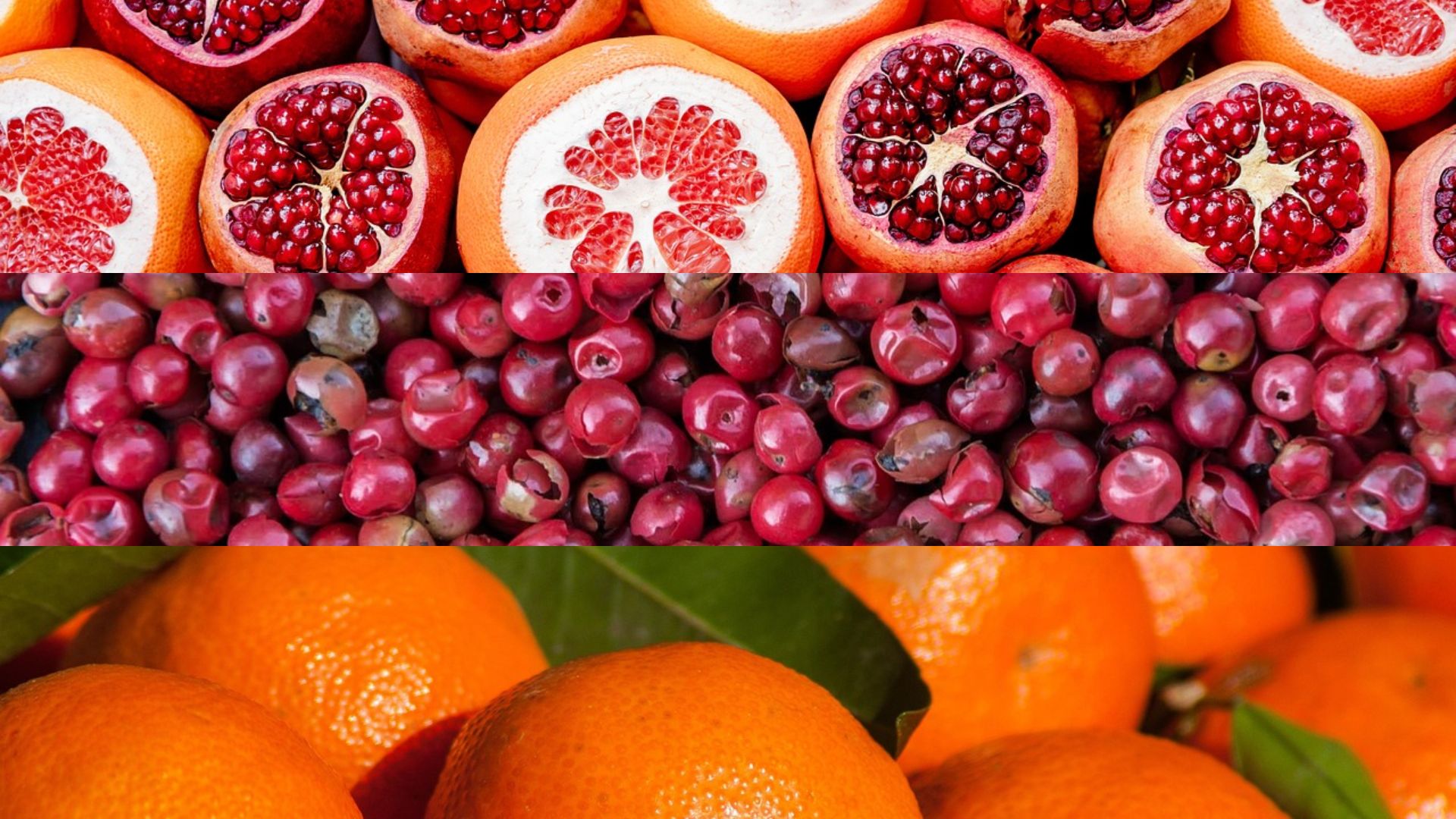 Ontwerp zonder titel (1)