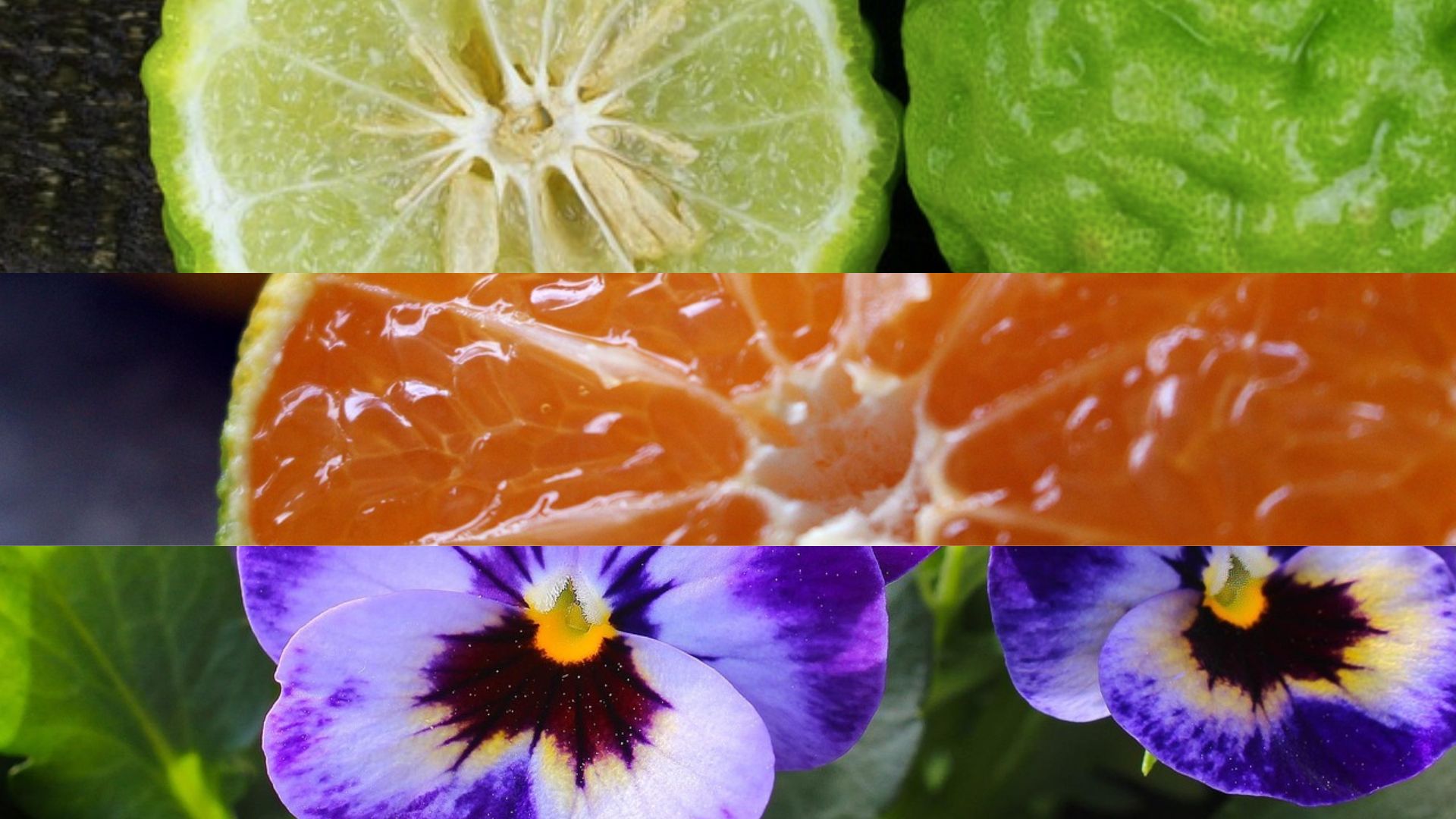 Ontwerp zonder titel