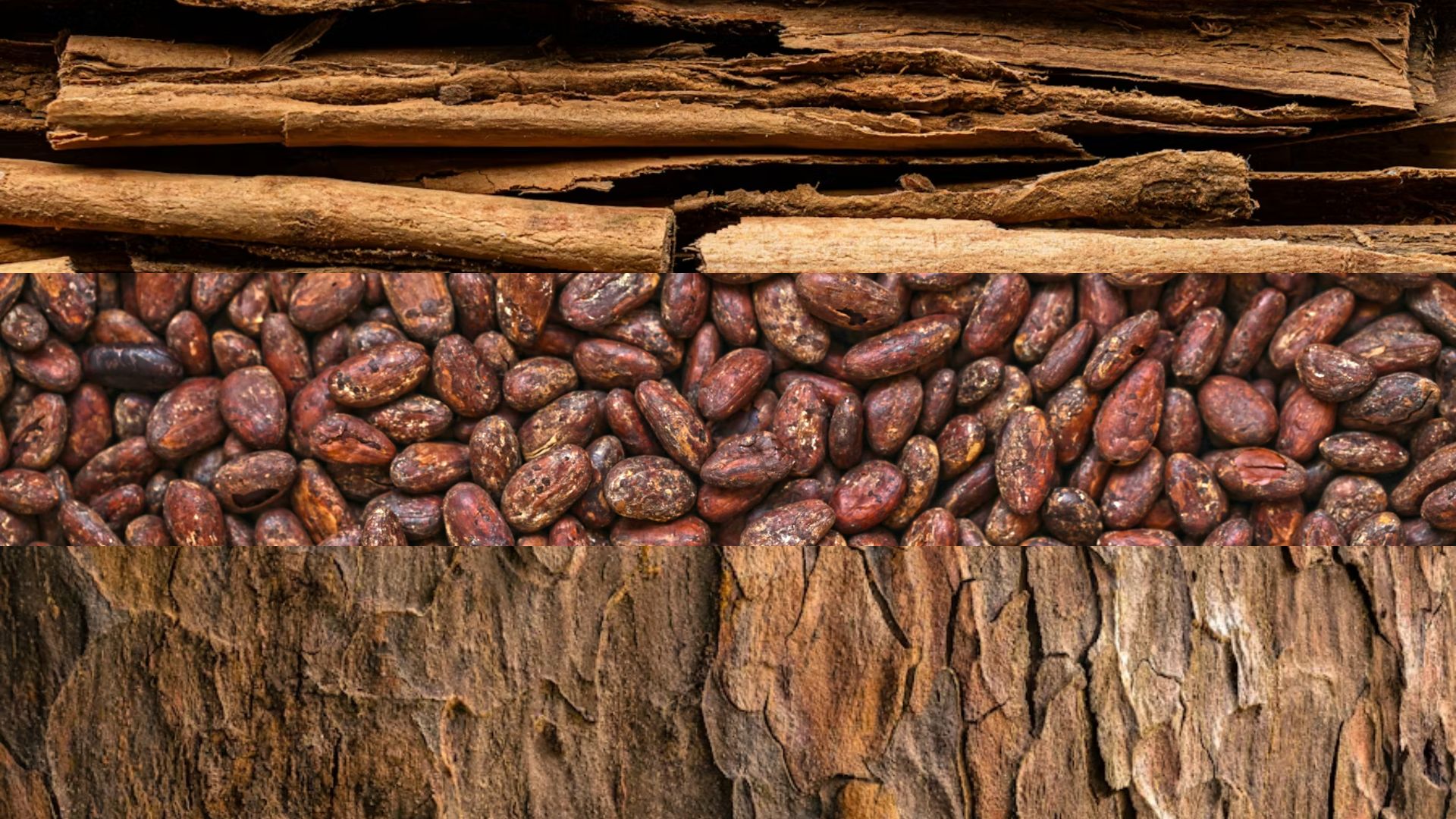 Ontwerp zonder titel (2)