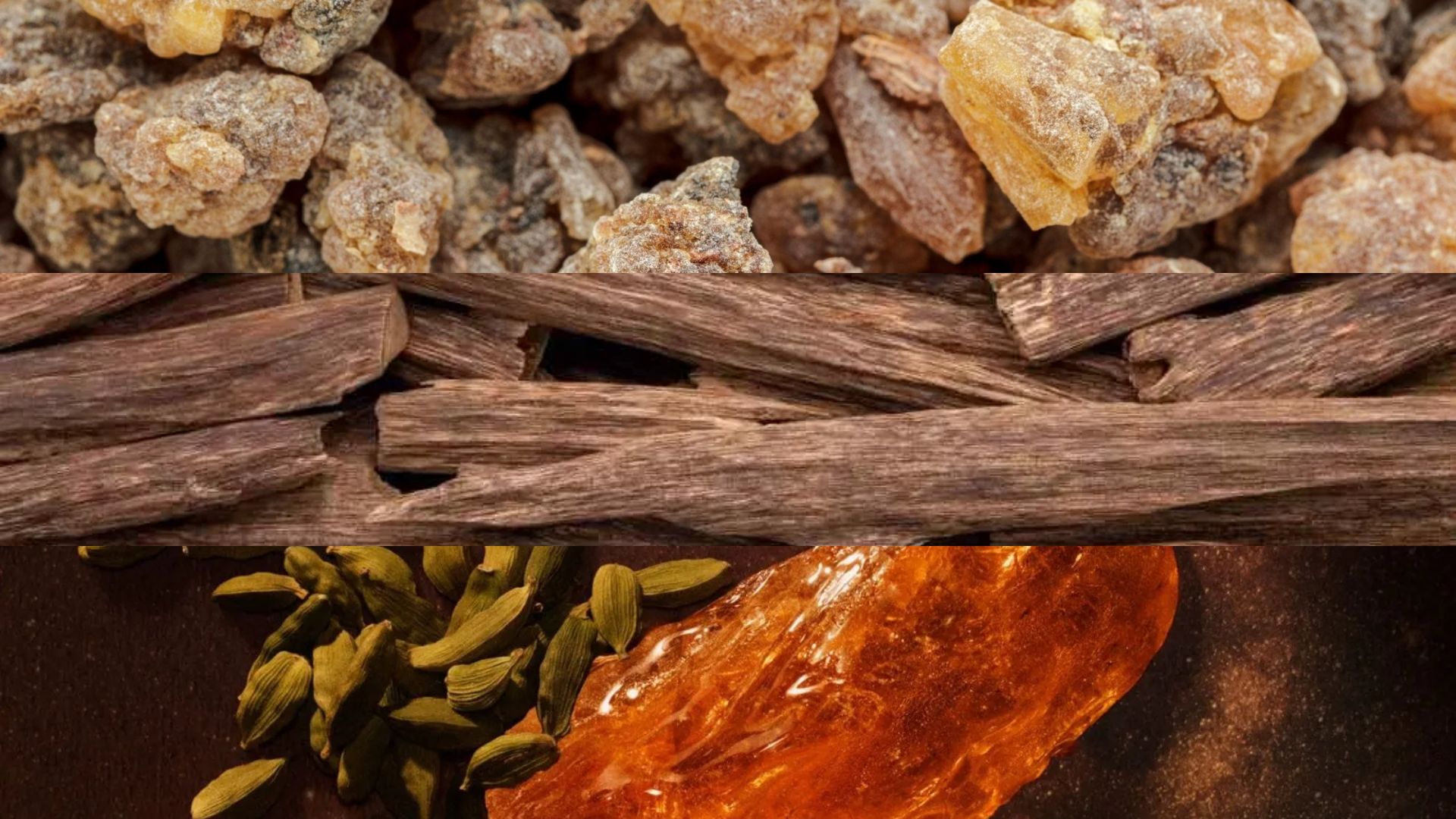 Ontwerp zonder titel (3)